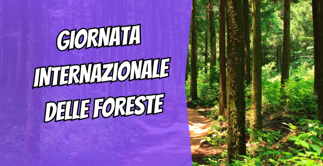 Giornata Internazionale delle Foreste